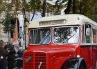 150 Jahre Wiener Tramway Fahrzeugparade (112)